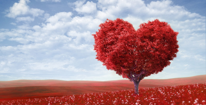 Résultat de recherche d'images pour "Amour"